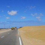 Laâyoune + 20km. Les dunes de sable se déplacent avec le vent et les hommes s'efforcent de dégager les routes.