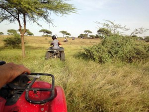 Petite excursion en quad dans la savane africaine.