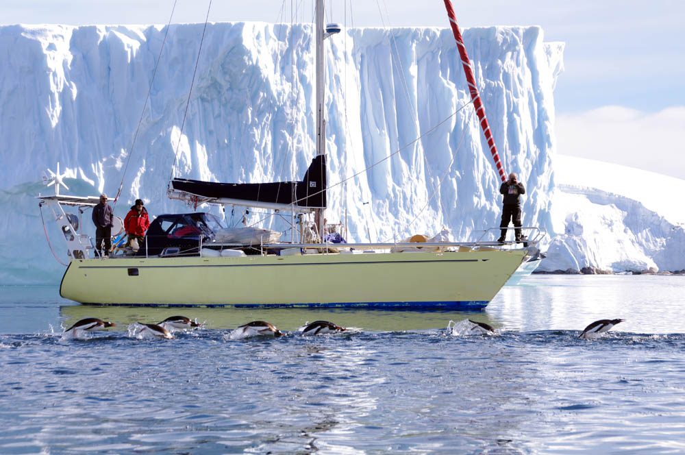 A Paradise Bay, en péninsule Antarctique, Ocean respect est escorté par un banc de manchots papous. L'accueil que réserve la faune au voyageur contraste avec les tempêtes qui sévissent dans la zone