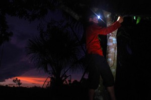 Monter le camp est parfois peu aisé. Ici, Brian monte dans un arbre pour accrocher son hamac alors qu’une averse vient de s’abattre et que la nuit est déjà en train de s’installer