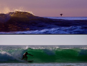 Siphay au "bottom turn" à Playa Avellanas. Les pélicans imitent les surfer en passant à ras des vagues.