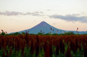 Nicaragua, champs de céréales sur fond de volcans, ceci est notre régime quotidien le long de la route panaméricaine.