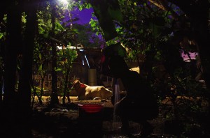 Accueillis dans une communauté au Nicaragua, nous nous faisons offrir le moment salvateur de la journée : la douche dans une atmosphère pour le moins champêtre