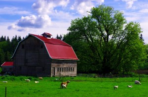 Une ferme typique dans la campagne de l'état de Washington.