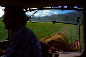 Alors que nous roulions près de Matamata, nous nous arrêtons pour manger un bout devant la ferme de Simon. Quelques minutes plus tard, il nous offre une glace à chacun, puis nous invite à camper là pour le soir-même. Le temps pour nous d'aller découvrir la vie dans sa ferme familiale qui produit du lait.