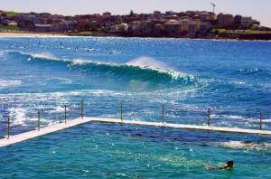 Quelques kilomètres plus au sud du centre ville de Sydney, la plage de Bondi Beach. Nous y allions quelques fois pour profiter du spectacle magnifique que nous offraient les surfeurs, mais aussi pour effectuer quelques longueurs dans la piscine gratuite d'eau de mer sur la plage voisine Bronte Beach. Un cadre magnifique pour enchaîner les longueurs !!!