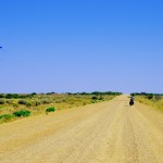Sur l’Oodnadatta Track, une piste que nous empruntons sur plusieurs centaines de kilomètres, nous décidons de tenter le coup sur une fenêtre météo qui a l’air pas trop mauvaise. Bilan : pas assez de vent, ce ne sera pas pour aujourd’hui. Mais le principe est là : du kite-bike sur la piste dans l’Outback en Australie ! Géant :)