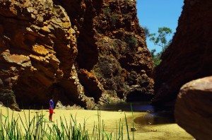 Jewelz nous explique que Simpson’s Gap est un point d'eau permanent au coeur du désert, à quelques dizaines de km d'Alice Springs. Les animaux le savent et Siphay surprendra même un petit Wallabie caché dans les hautes herbes. C'est toujours aussi plaisant pour nous d'être loin des afflux touristiques tout en profitant d'une nature et de paysages uniques.