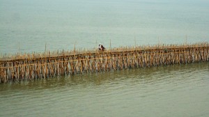 A Kampong Cham, chaque année les habitants construisent cet immense ouvrage d’art. Ce pont de bambou est l’unique lien avec l’île située en face, pour transporter les marchandises. Voitures et deux roues circulent aisément dessus !!! Il ne faut pas plus d’un mois pour construire cette merveille qui, lors de la prochaine saison des pluies sera emportée par les flots du Mékong.