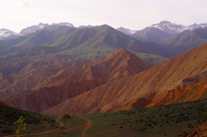 Blanc, vert, orange. Ça pourrait être le drapeau du Kirghizstan pour dénoter la couleur de ses montagnes. Nous vadrouillons entre les teintes de couleur en fonction de notre altitude. Là, après avoir passé pas mal de temps en bas dans un canyon, nous remontons vers la verdure.